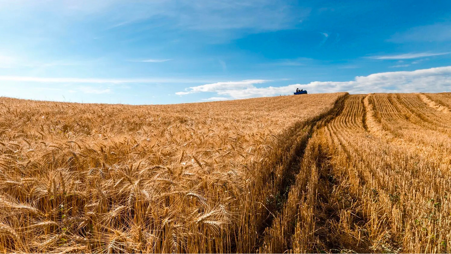 Azienda Bio Piccolo Feudo