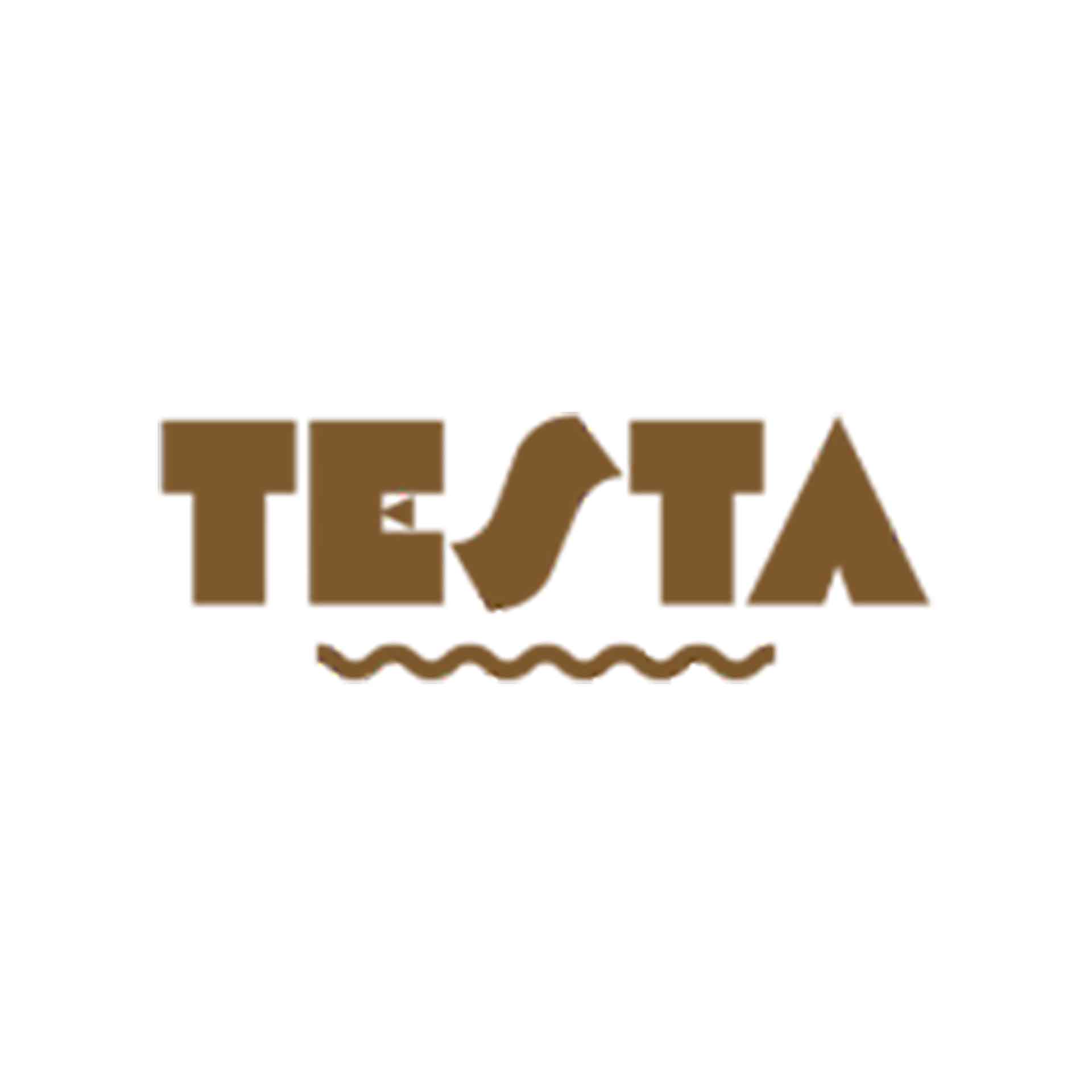 Testa