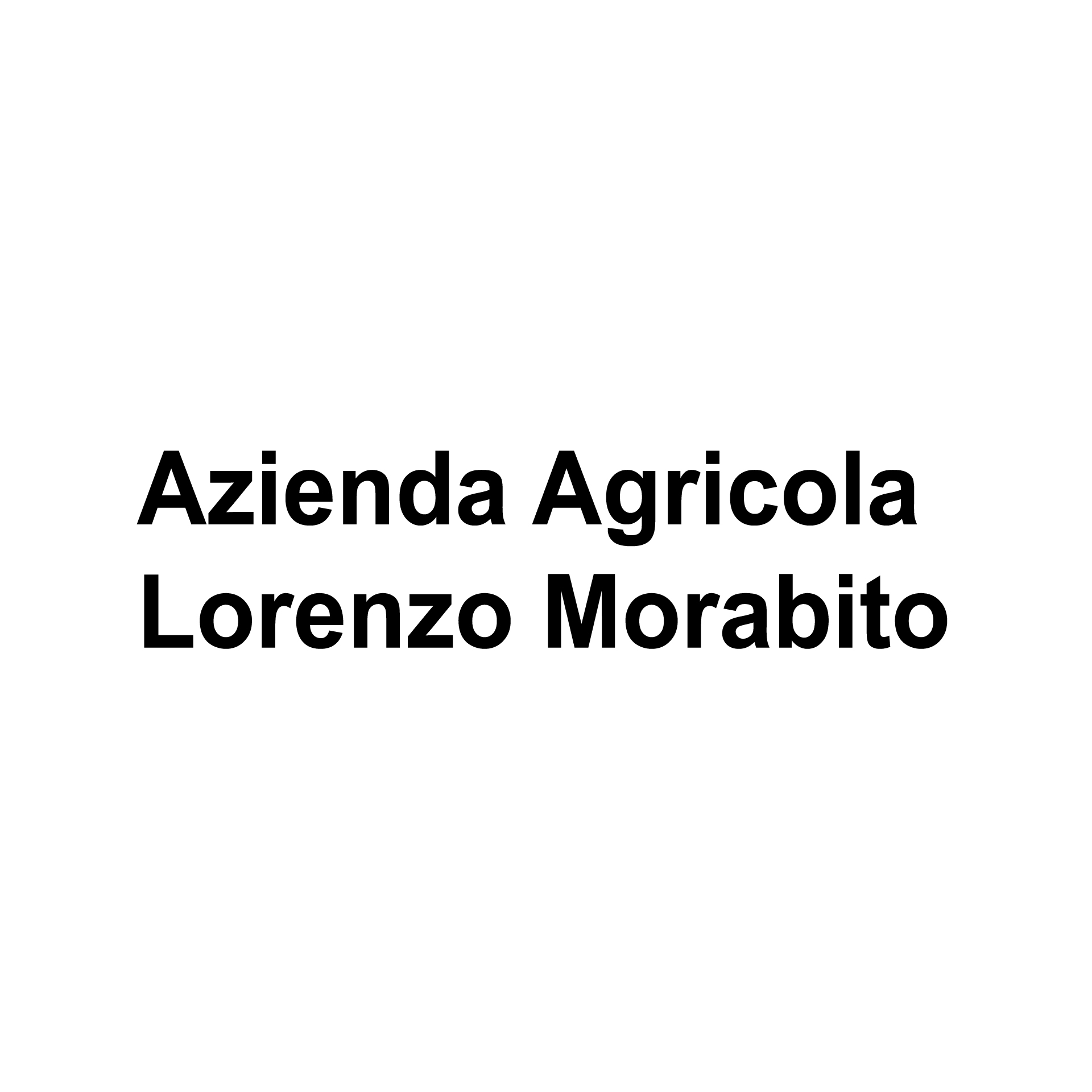 Lorenzo Mirabito