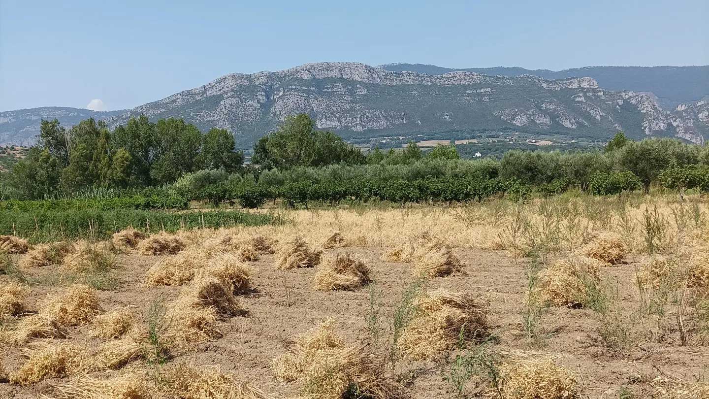 L'Orto del Cilento