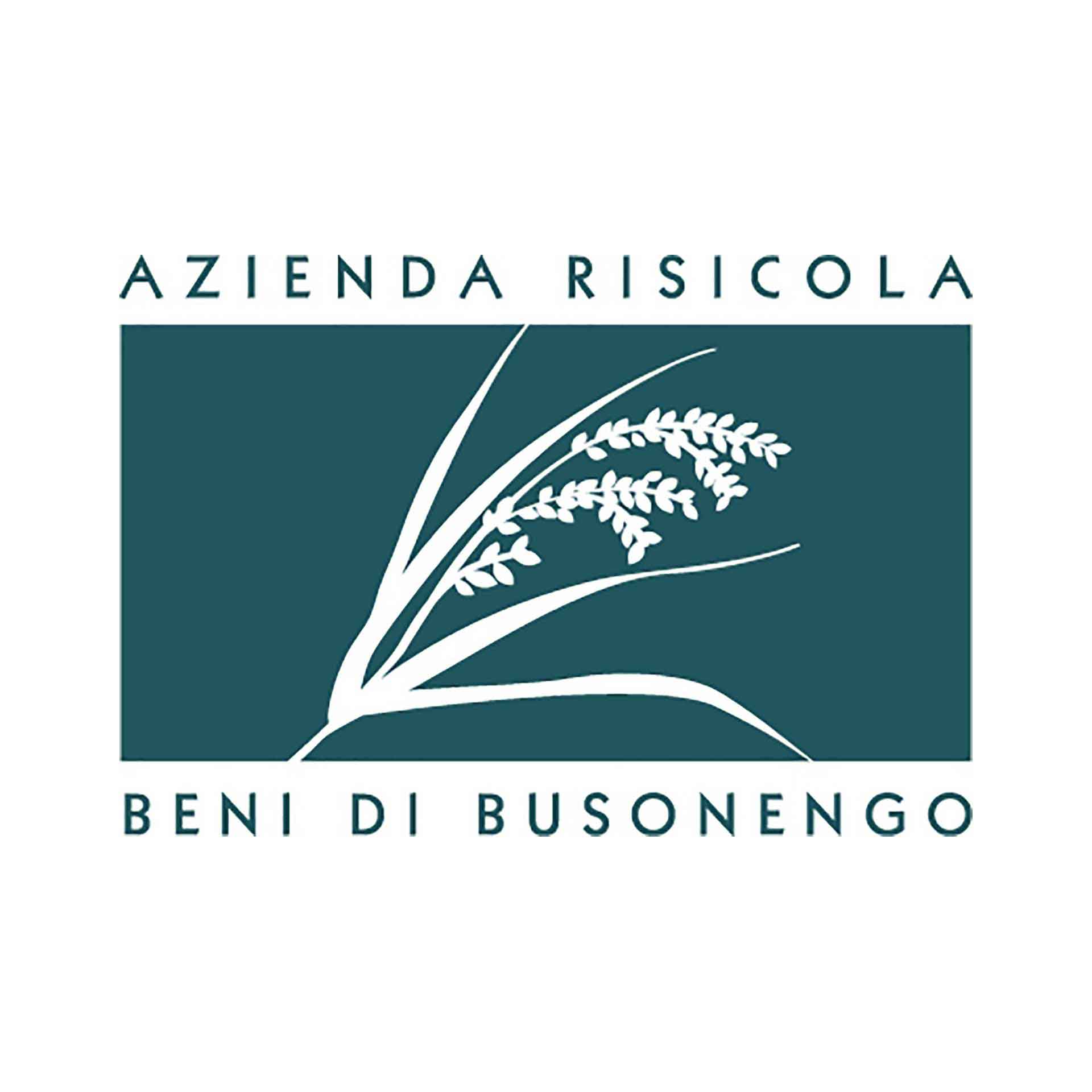 Beni di Busonengo