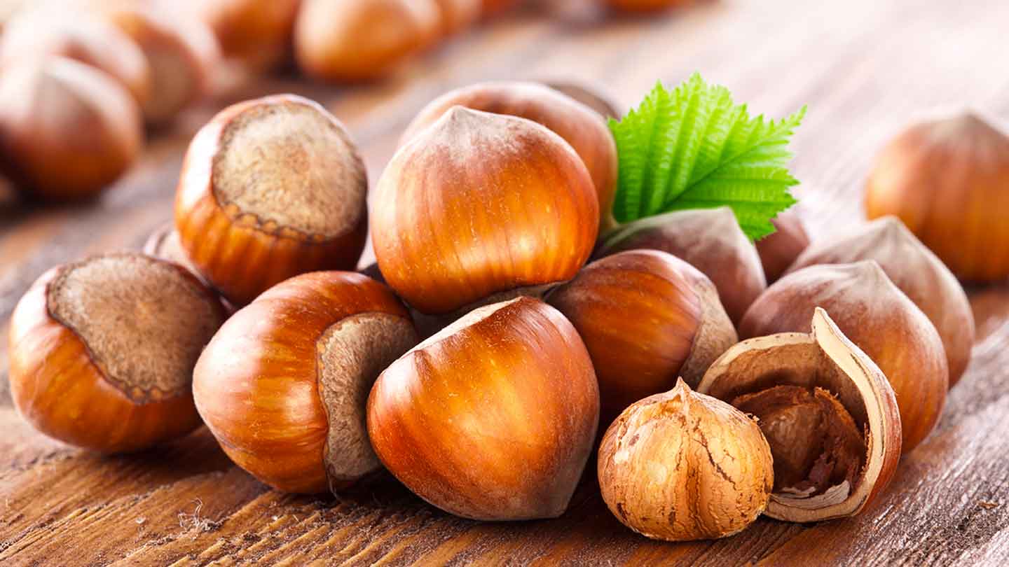 Nocciola Tostata: Ecco Perché l'Amiamo Così Tanto! 