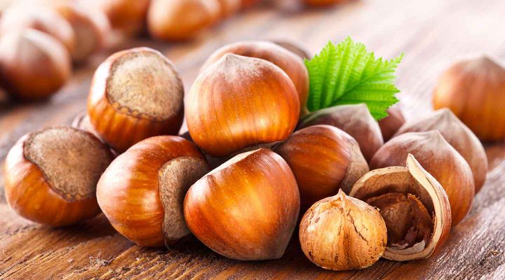 la nocciola tostata venduta online da foodoteka