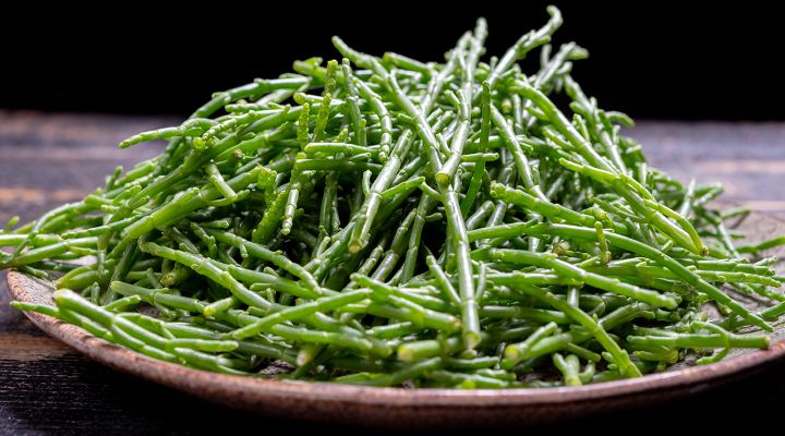 La salicornia venduta online da foodoteka