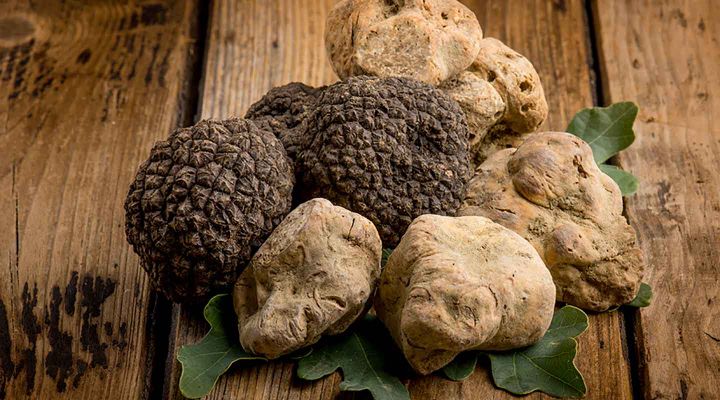 Il tartufo molisano venduto online da foodoteka